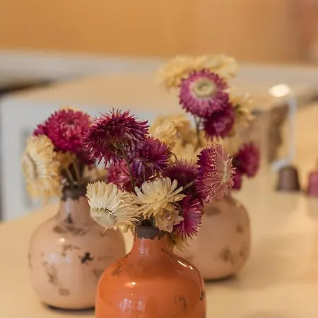 Rose & Garden - Eiffel Tower 公寓 巴黎