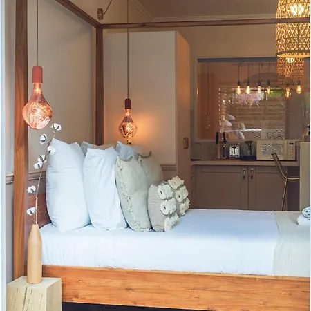 Rose & Garden - Eiffel Tower